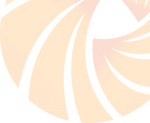 Bison Bank mark