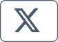 X (Twitter)